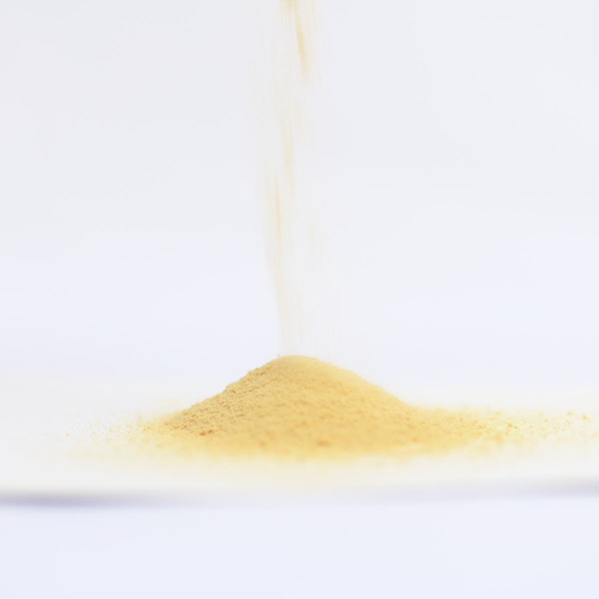 【小型犬にオススメ少量パック】WONDERFUL(ワンダフル)10g