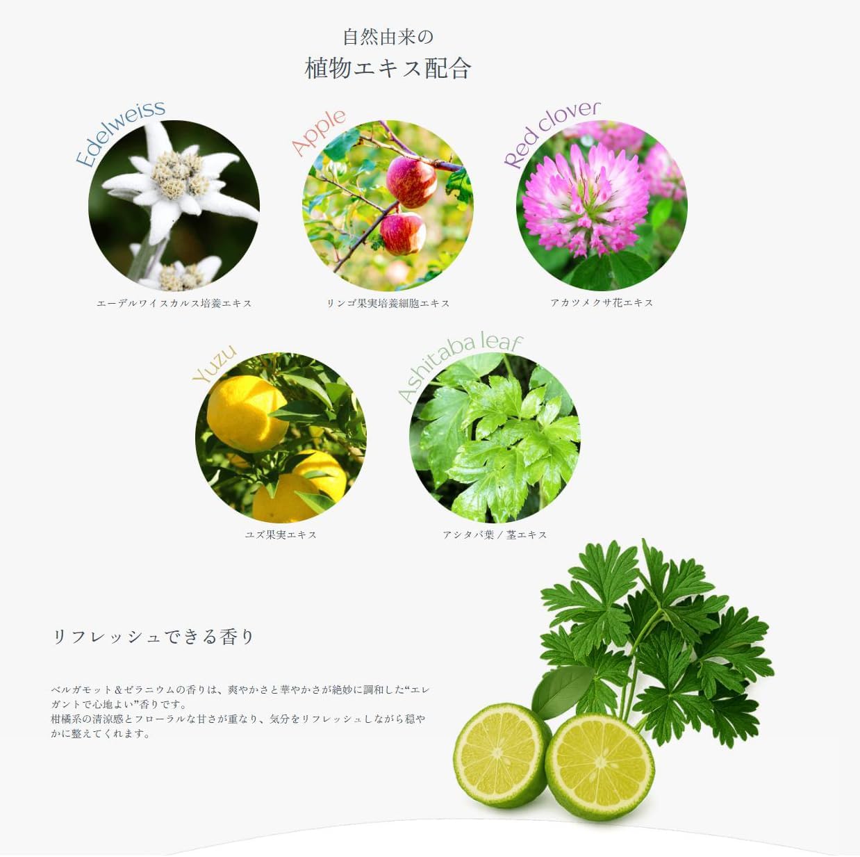 PDRN dual essence 化粧水　