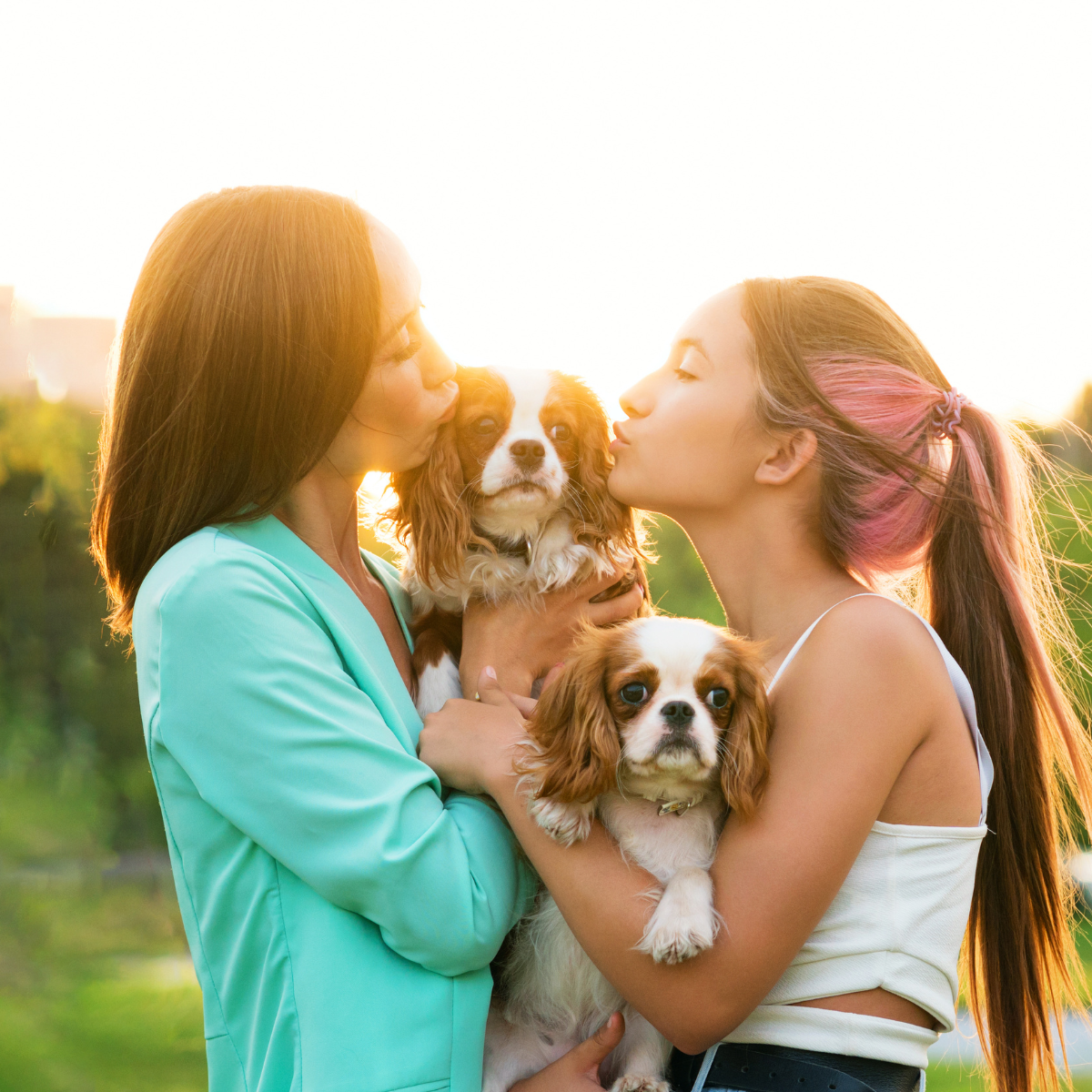 【小型犬にオススメ少量パック】WONDERFUL(ワンダフル)10g