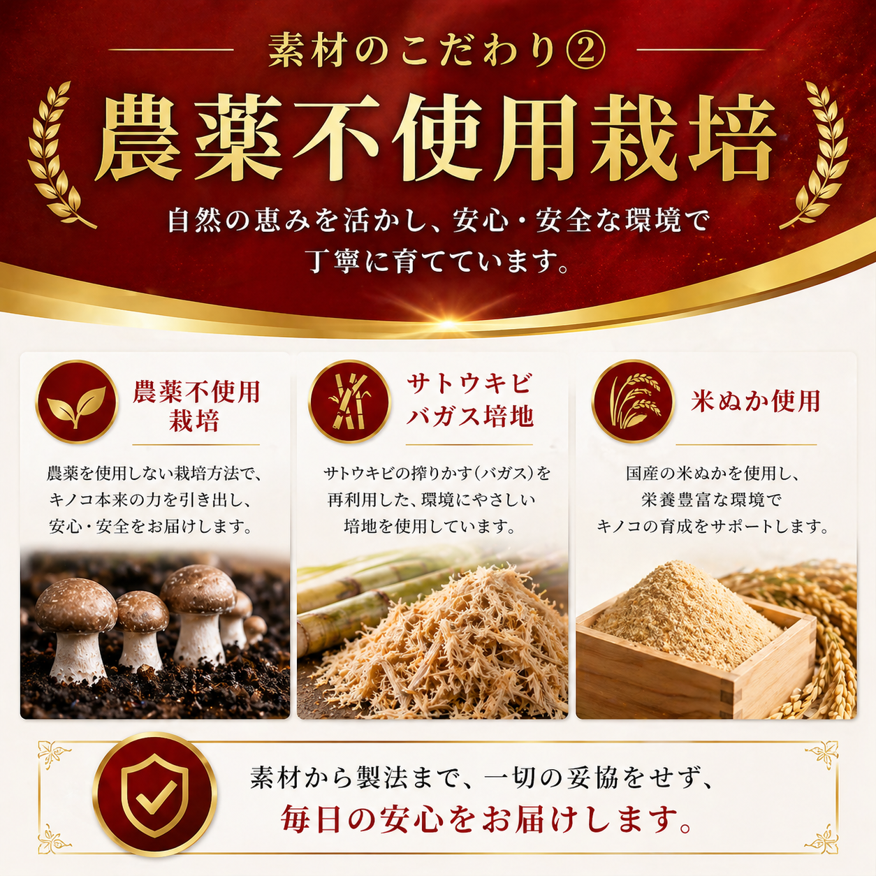 GABAヒメマツタケ80g【ストレス・高血圧用】