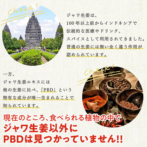 栄養機能食品★健康・美容・冷え性に≪ジャワの輝き≫1箱（10ｇ×30包）