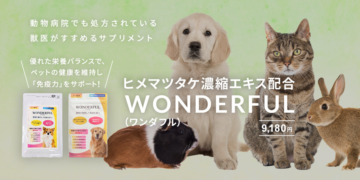 【小型犬にオススメ少量パック】WONDERFUL(ワンダフル)10g